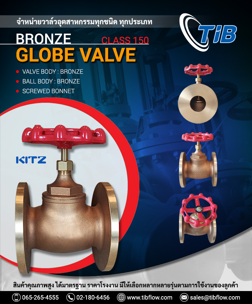 Bronze Globe Valve