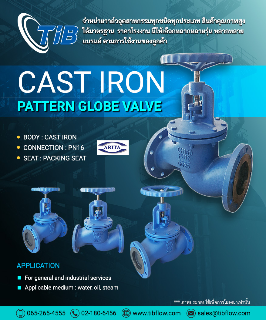 Cast Iron Globe Valve