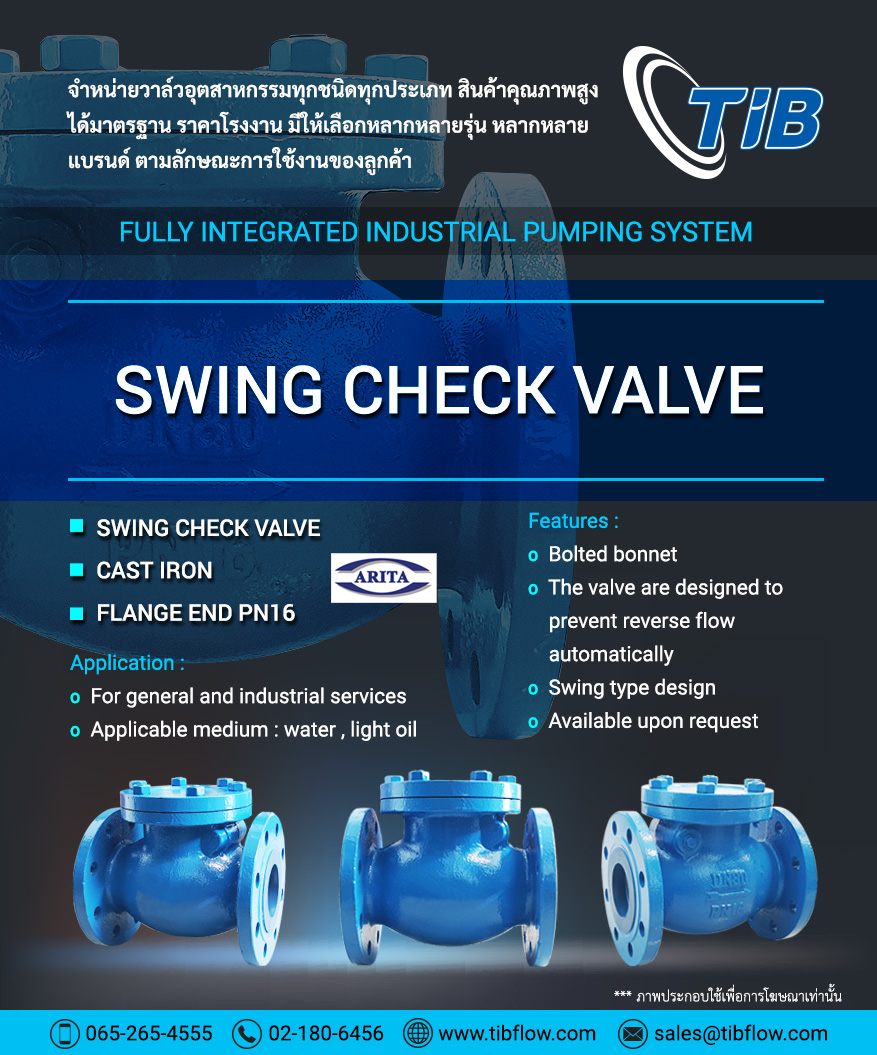 Swing Check Valve
