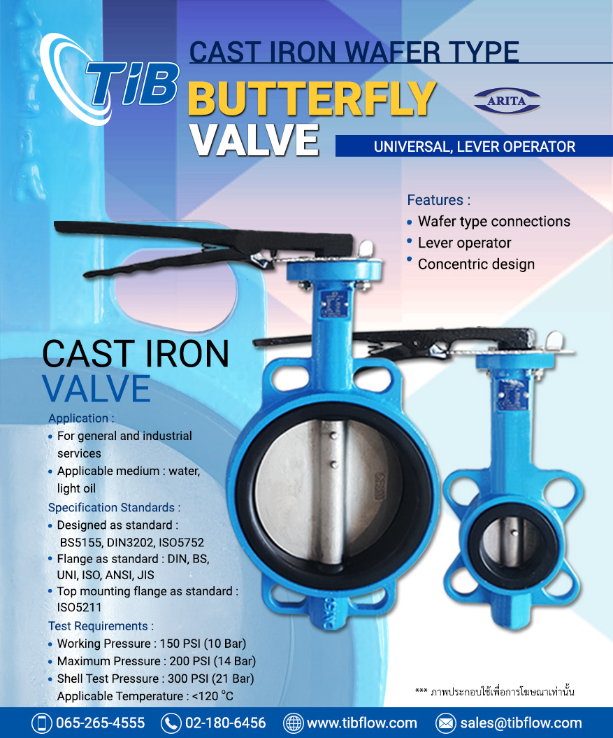 Cast Iron Butterfly Valve