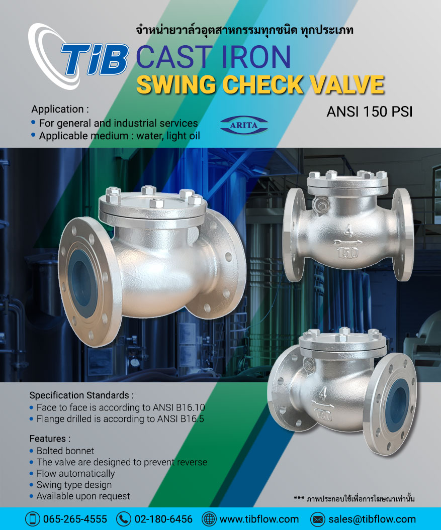 Cast Iron Swing Check Valve
