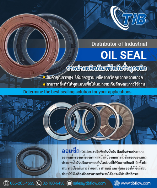 Oil Seal