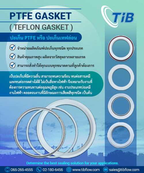 PTFE Gasket