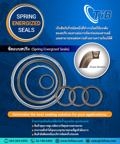 Spring Energized Seals
