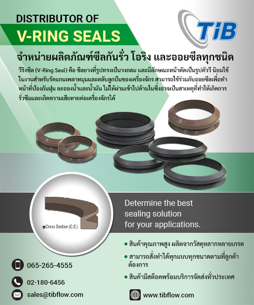 V-Ring Seals