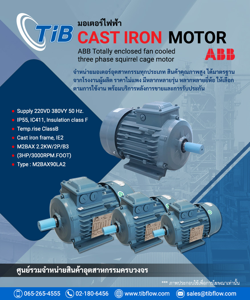 ABB Cast Iron Motor