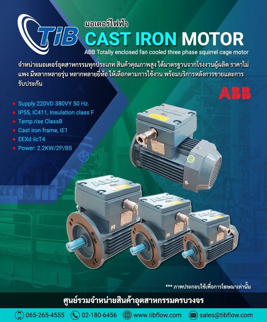 ABB Cast Iron Motor