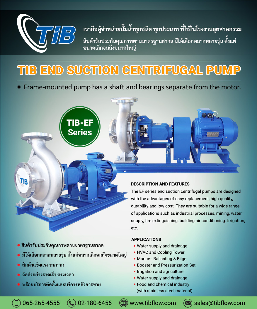 TIB End Suction Centrifugal Pump